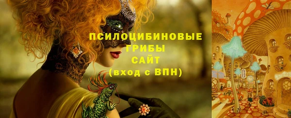герыч Лиски
