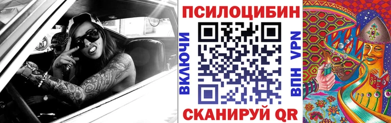где купить   Новосибирск  Псилоцибиновые грибы мухоморы 