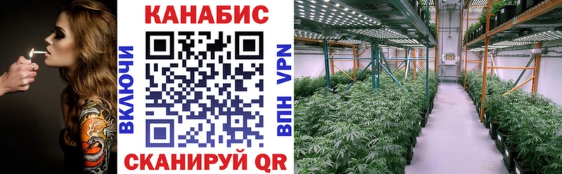 Конопля SATIVA & INDICA  купить наркотик  Новосибирск 